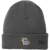 Chelsea Bulldogs New Era Speckled Beanie